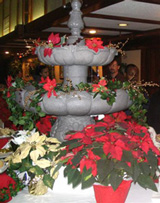 poinsettia fountain